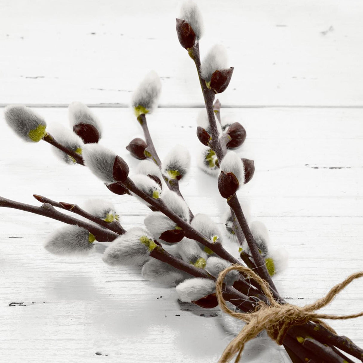 Duni servetten wild willow 33x33cm