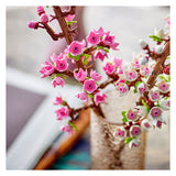 Fleurs LEGO 40725 Cherry Blossoms