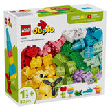LEGO DUPLO 10479 Colorful Creative Box