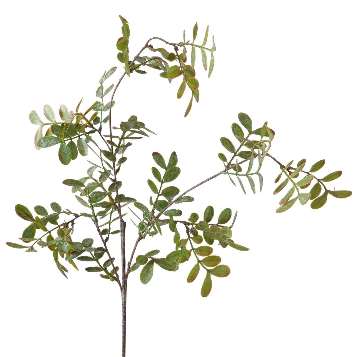 Boltze home decoratietak blad l94cm