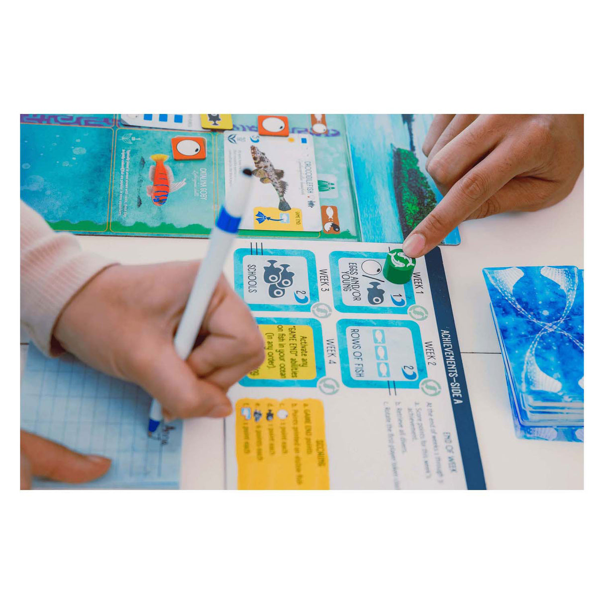 999GAAME 999 GESCHAFFT FINSPAN BORRSPELL