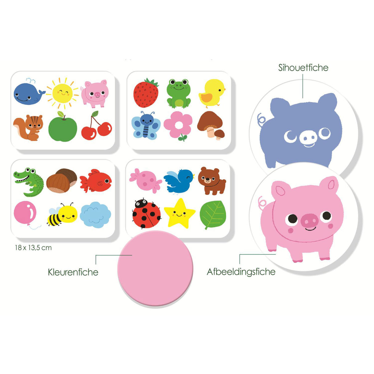 Jumbo I Learn Shapes and Colors Educational Game