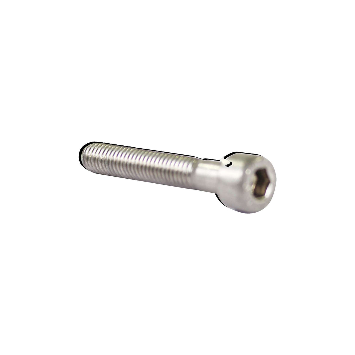 Bofix Allenbout M5 x 30 stainless steel (25 pieces)