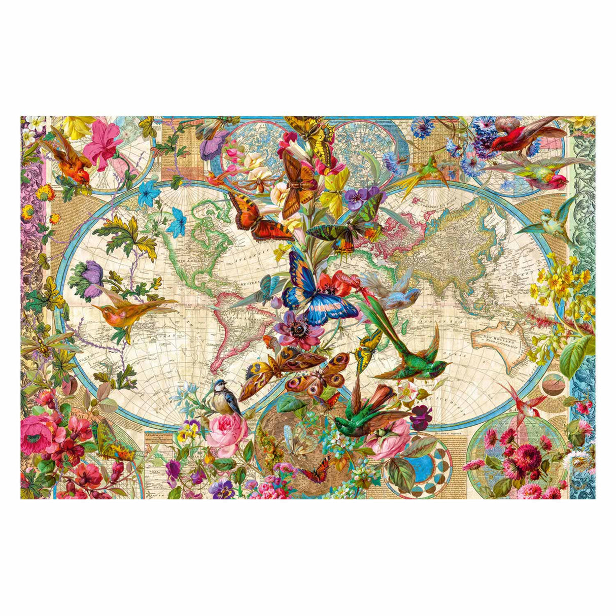 Plora and Fauna World Map, 3000st.