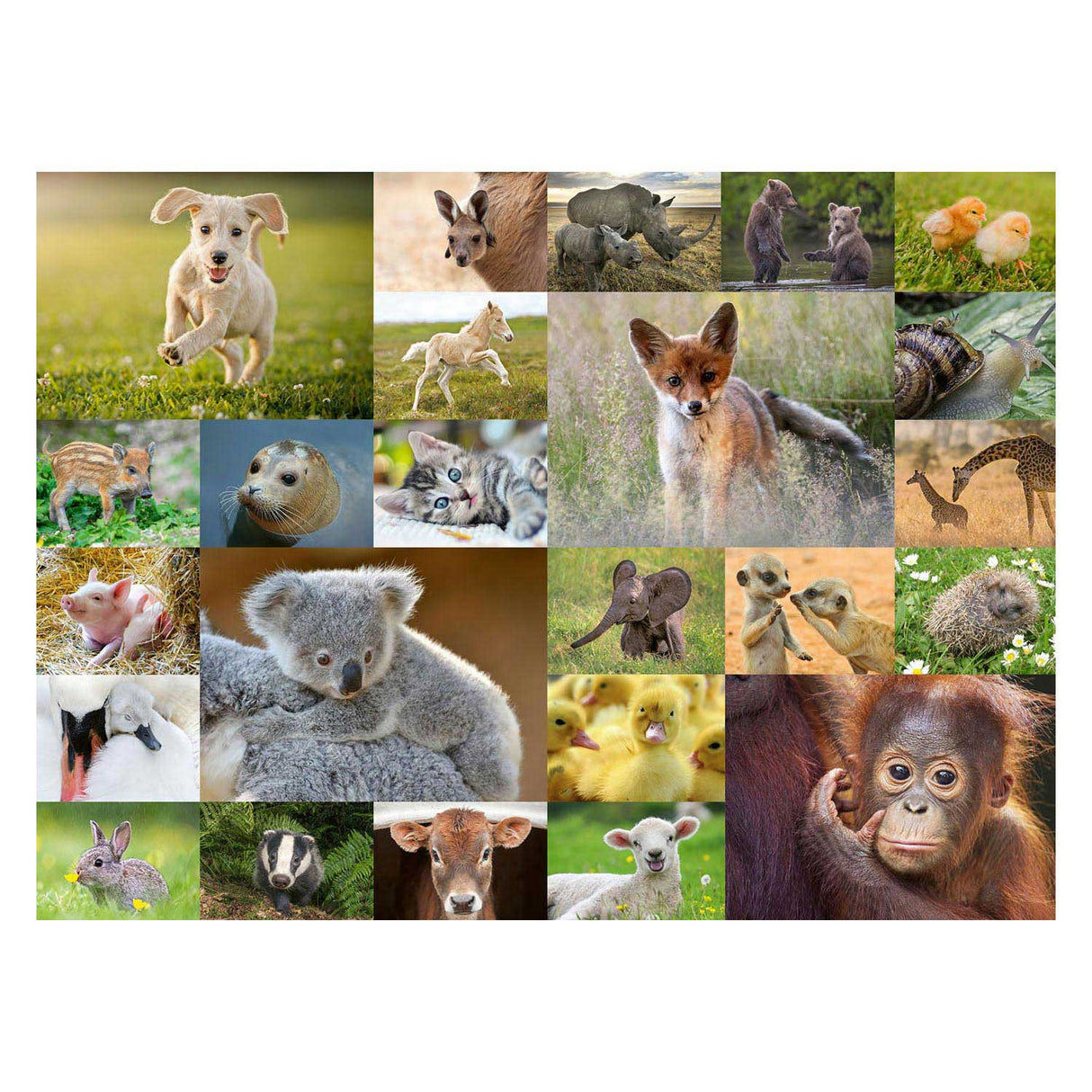 Ravensburger puzzle cute baby animals, 200st. Xxl