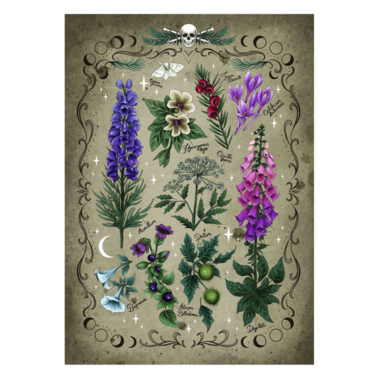 Ravensburger jigsaw Puzzle Kaddoen, 1000st.