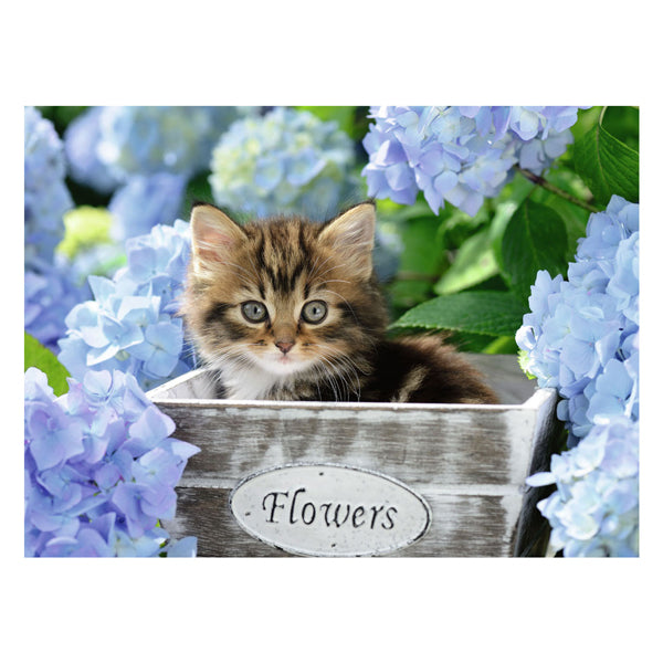 Ravensburger puzzle kis cica 300 xxl darab