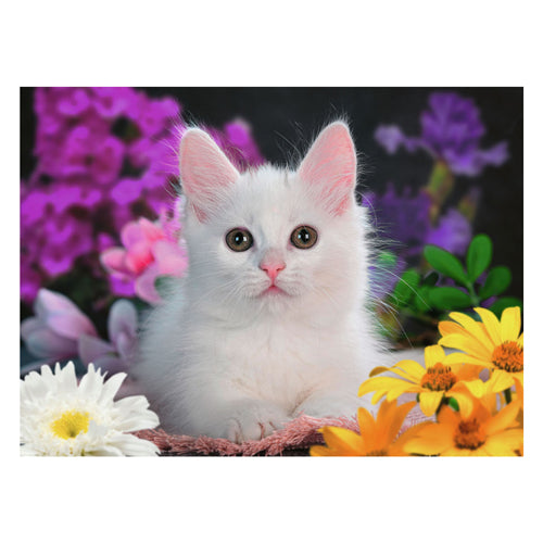 Ravensburger Puzzle beautiful kitten 100 XXL
