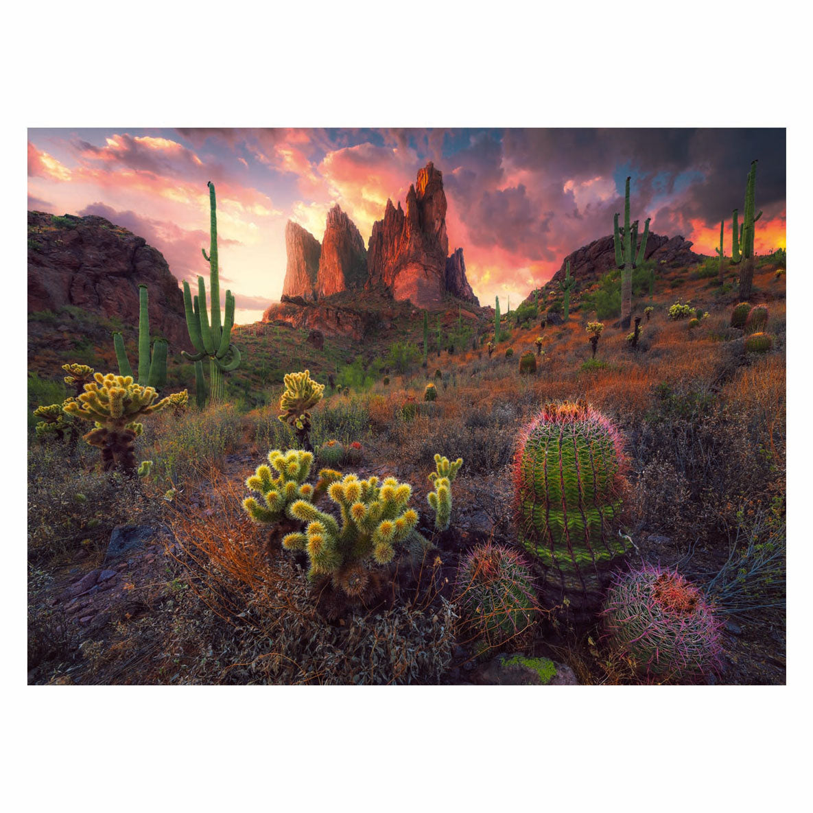 Ravensburger jigsaw puzzle Cactus, 500st.