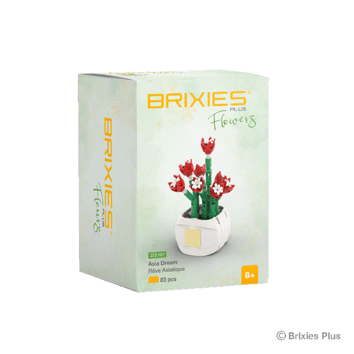 Oku brixies plus flower asia dream building blocks
