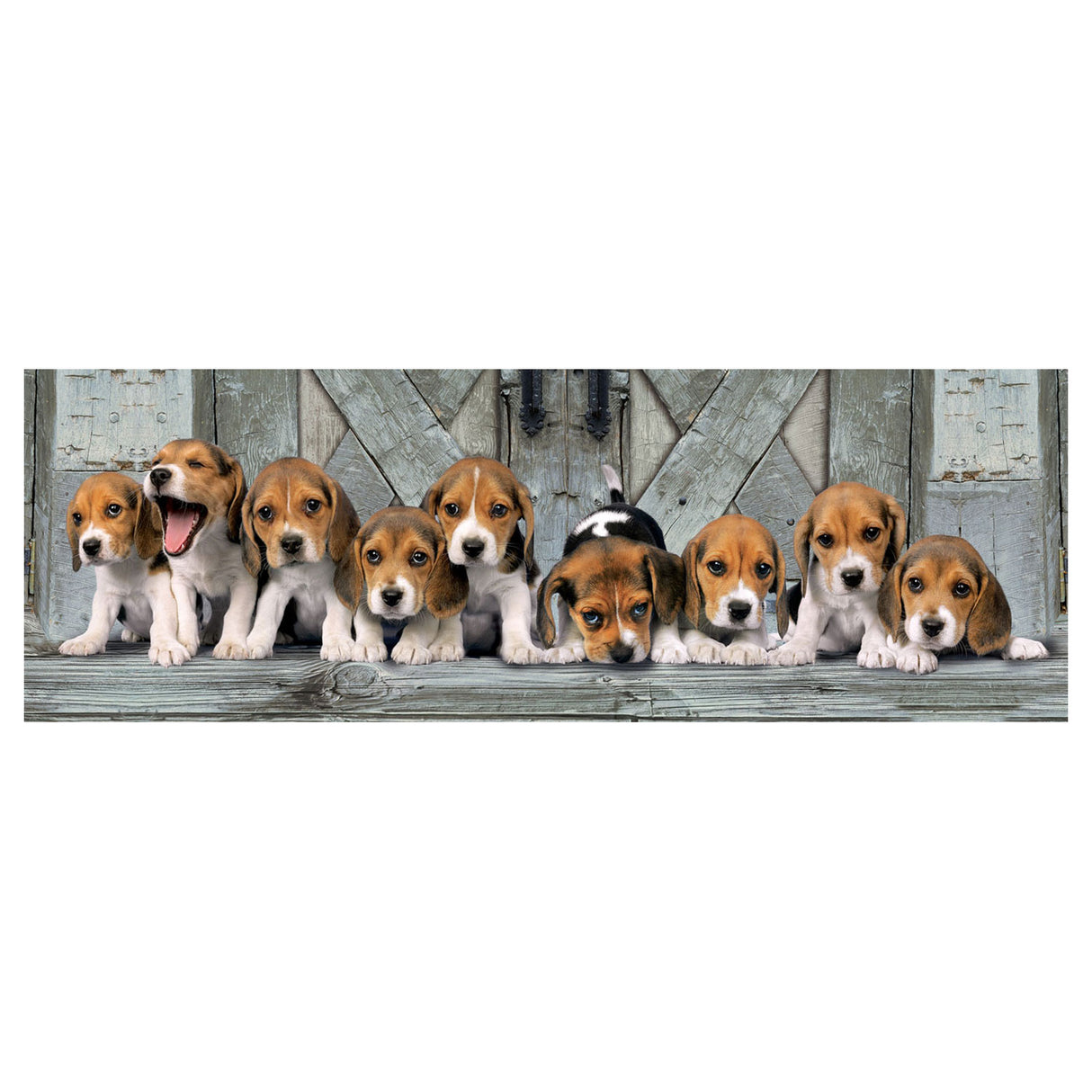 Clementoni panorama puzzle beagles, 1000 pcs.