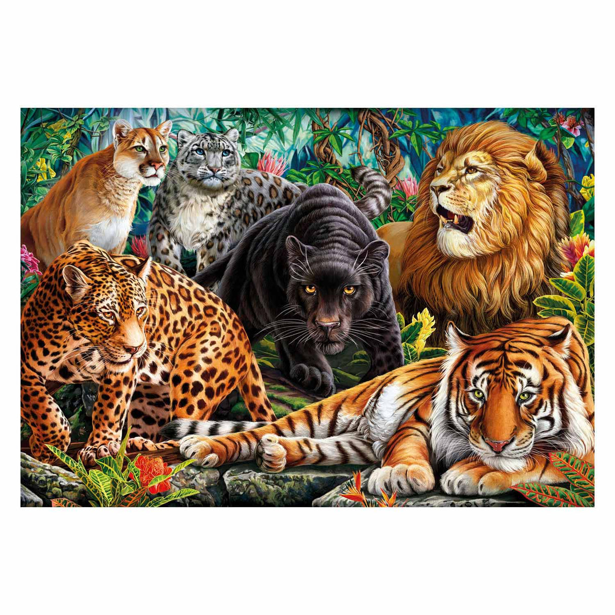 Clementoni puzzle wild cats, 500 pcs.
