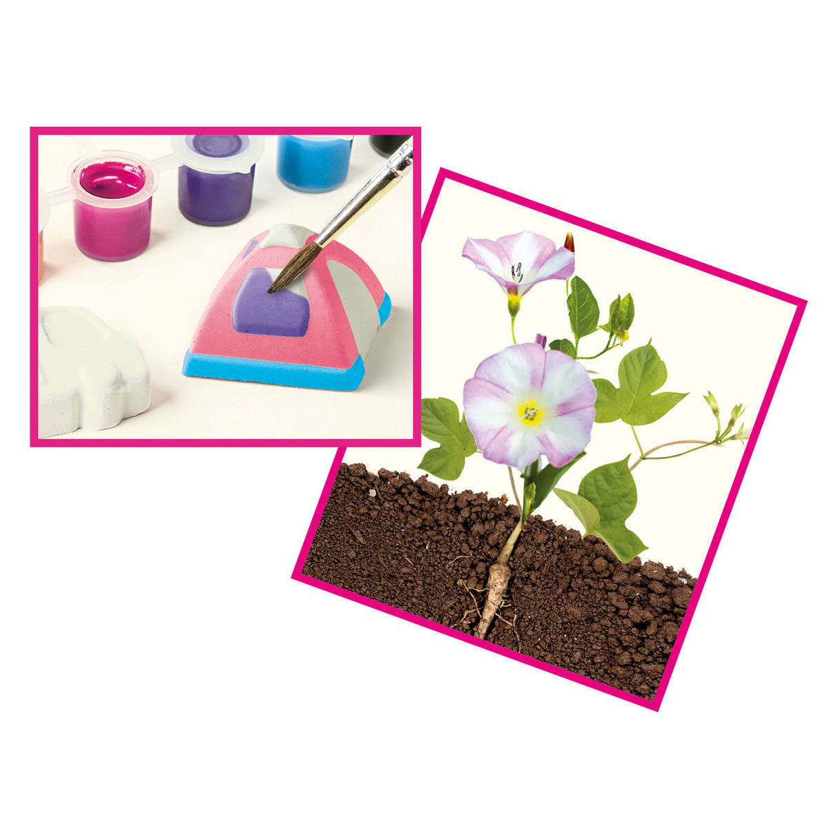 Zestaw rzemieślniczy Clementoni Clementoni Terrarium
