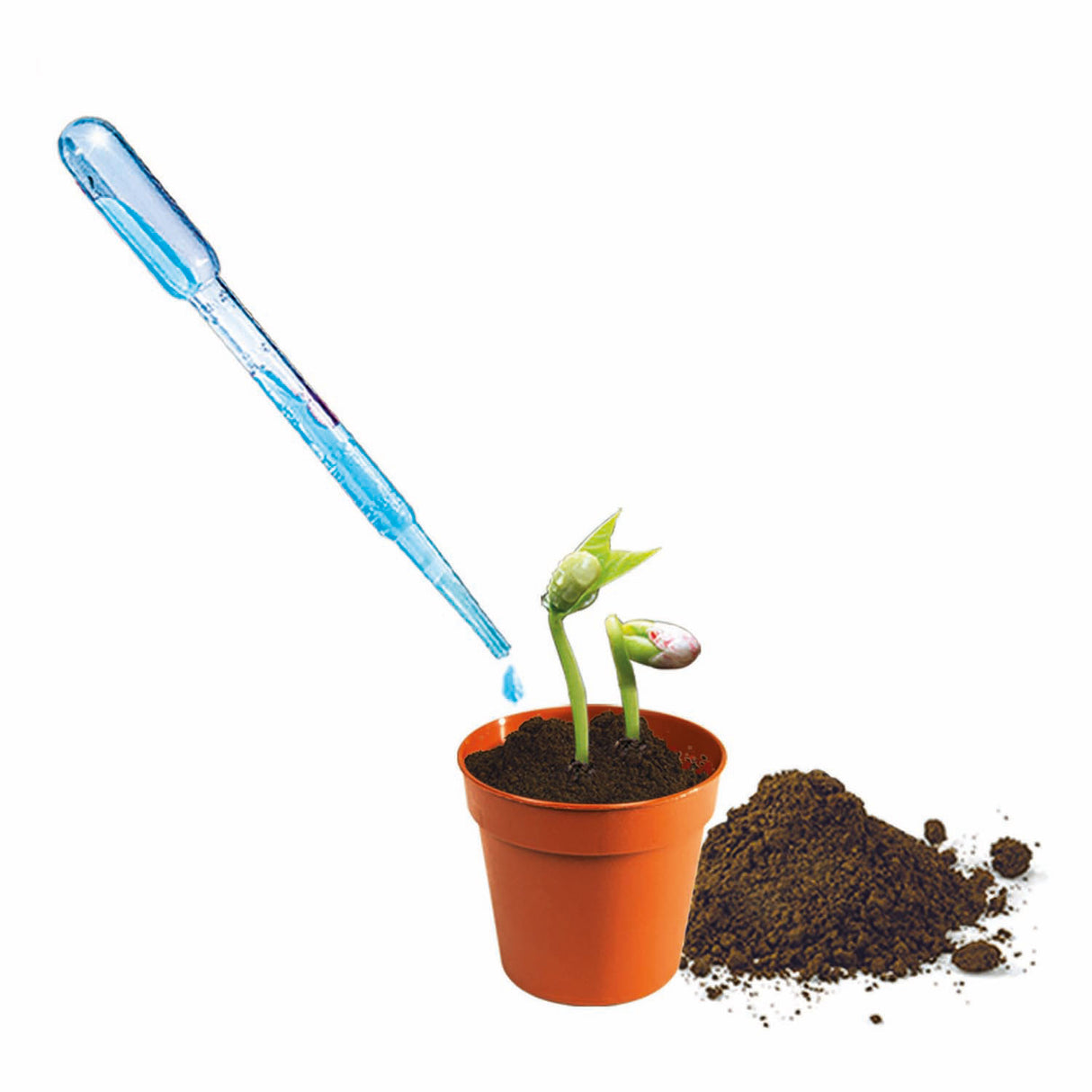 Clementoni science Making vegetable garden mini