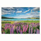 Fiori puzzle di Clementoni azzurro sul lago Tekapo, 1500st.