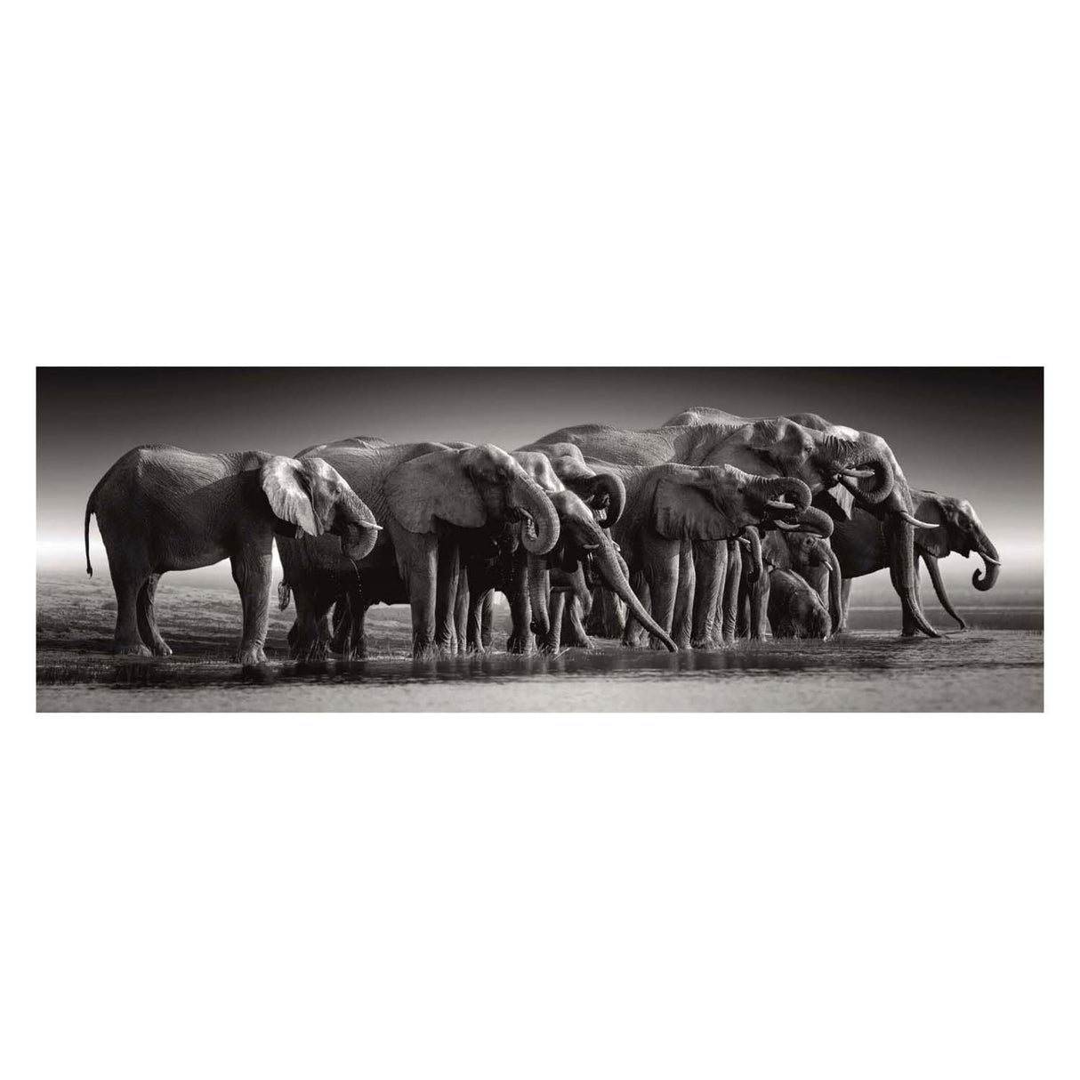 Clementoni legpuzzel herd of giants, 1000st.