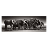 Clementoni legpuzzel herd of giants, 1000st.