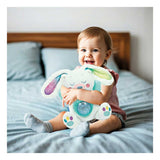 Clementoni baby rabbit cuddly toy interactive northern lights