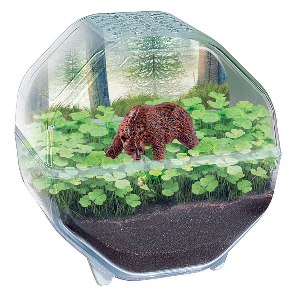 Clementoni Science Kit My Wild Terrarium - Bear