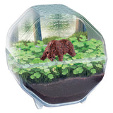 Clementoni Science Kit My Wild Terrarium - Bear