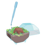 Clementoni Science Kit My Wild Terrarium - Bear