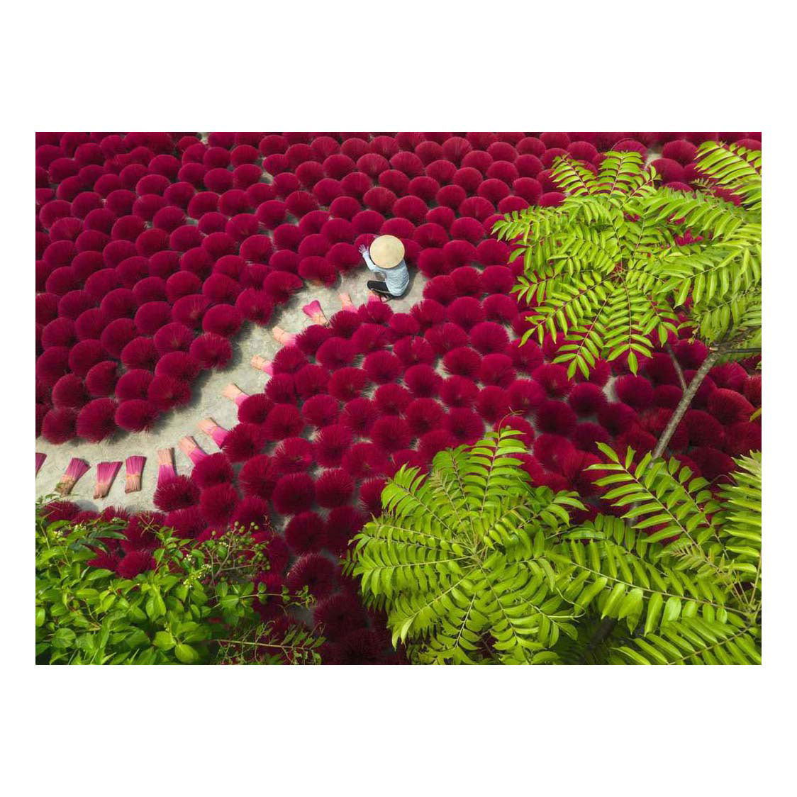 Ravensburger palapeli punainen meri - 500 kpl.