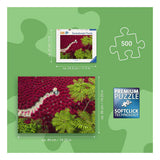 Ravensburger palapeli punainen meri - 500 kpl.