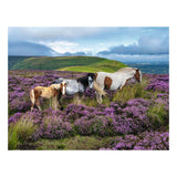 Ravensburger Jigsaw Puzzle Wild Horses in the Heather - 2000 pieces.