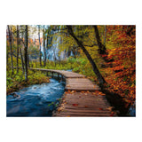 Ravensburger jigsaw puzzle autumnal wood trail