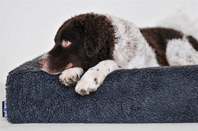 BIA BED Fleece Hoes Hondmand Grey