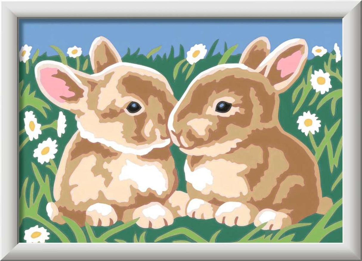 Ravensburger Creart Paint by Numbers - Fluffy Bunnies