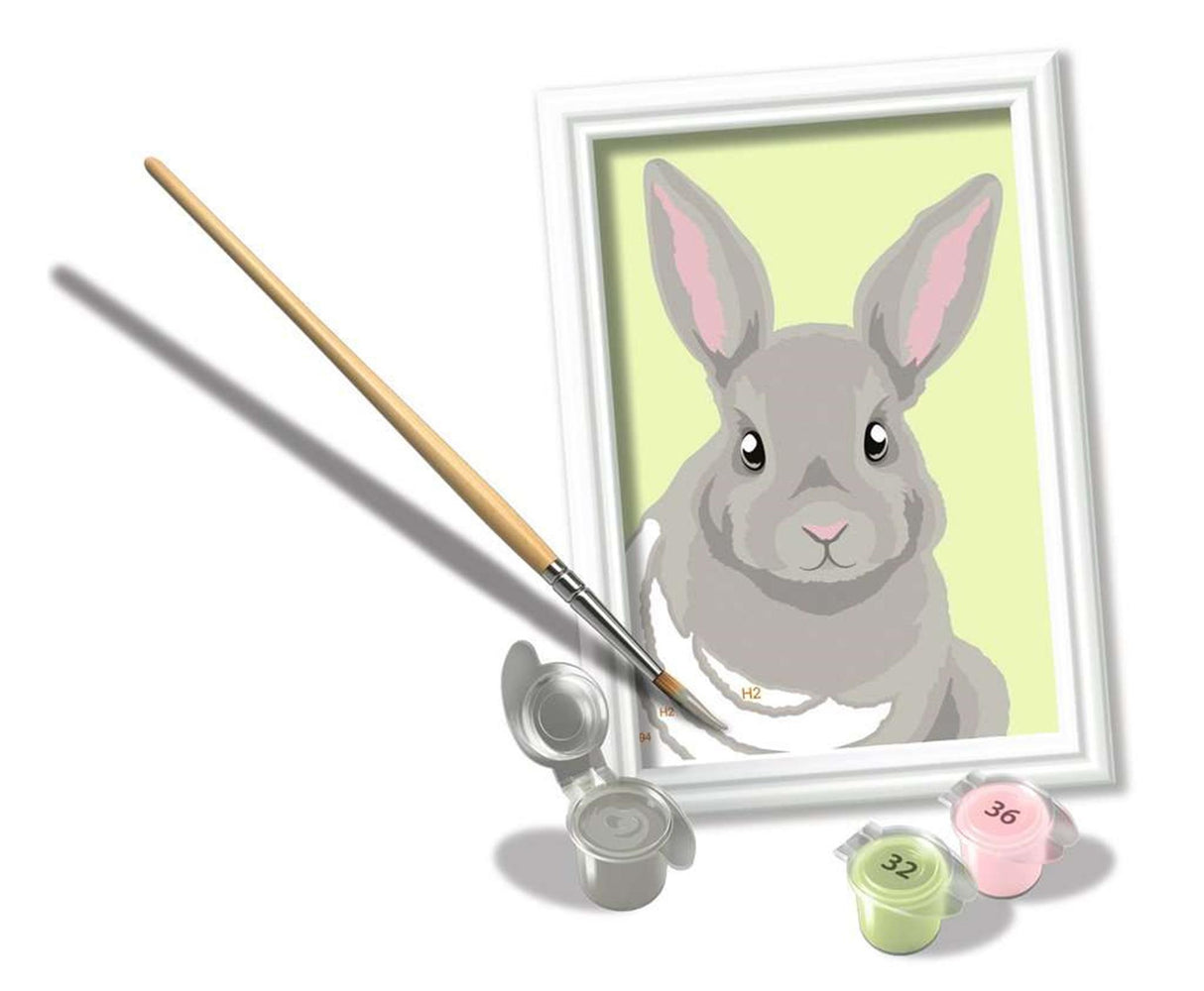 Kreatívna farba Ravensburger podľa čísla - sivý králik