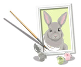 Kreatívna farba Ravensburger podľa čísla - sivý králik