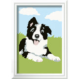 Ravensburger creart schilderen op nummer border collie | 3 stuks