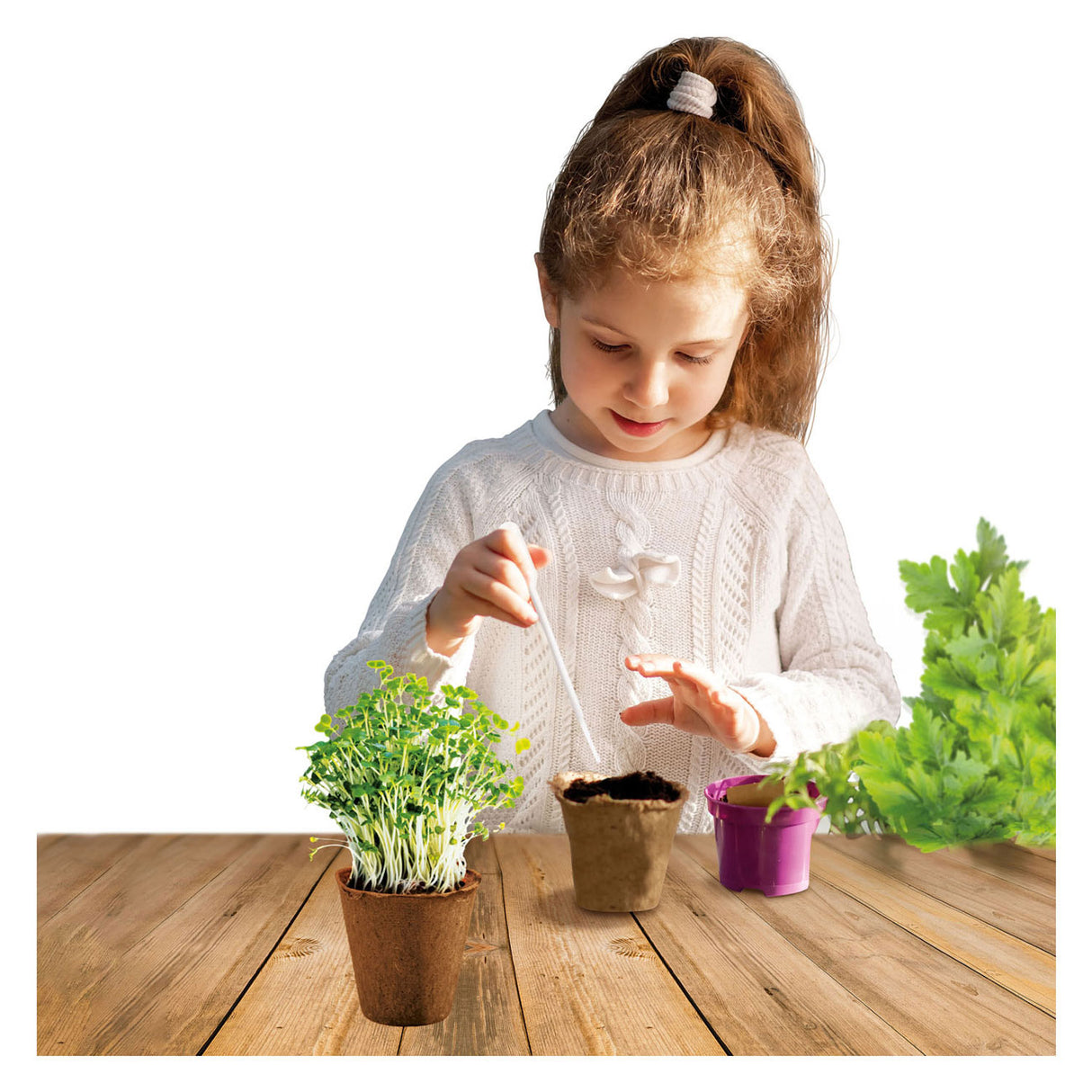 Kidscovery eksperimentas – žolelių sodo rinkinys s