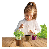 Kidscovery eksperimentas – žolelių sodo rinkinys s