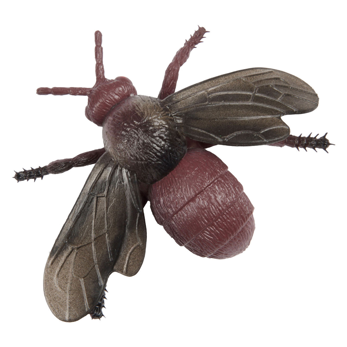 Toi-toys Animal World Great Curse Insect