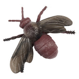 Toi-toys Animal World Great Curse Insect