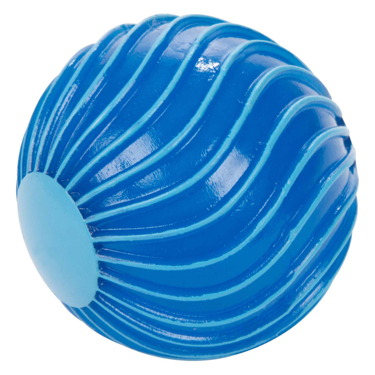 Sensorische ribbel bal