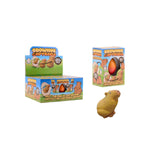 Johntoy groeiende capybara ei in doos