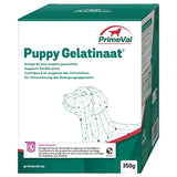 Primeval gelatinate dog