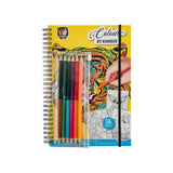 Color by Number Coloring Book with Colored Pencils.