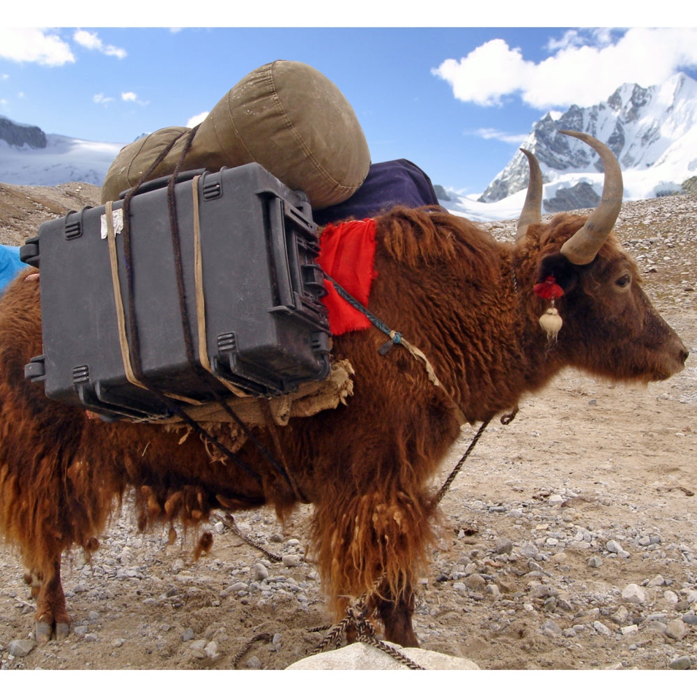 Explorer -tapaukset 4820hl matkalaukku mustalla vaahdolla