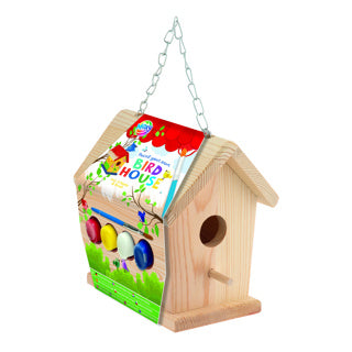 Creative Craft Group Painer your own birdhouse paint set
