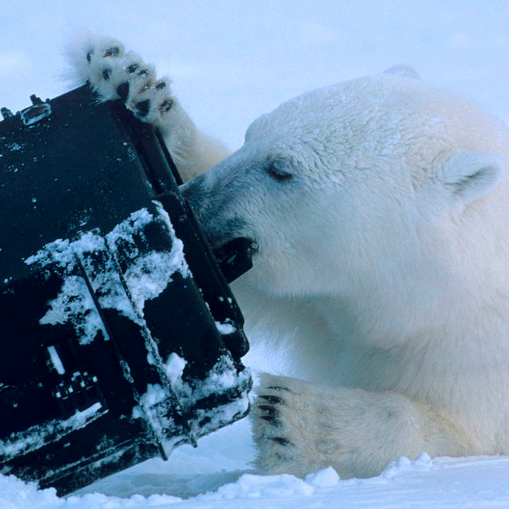 Explorer Cases 13513 Walizka czarna z pianką z pianką