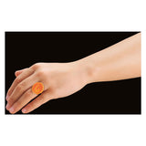 Playmobil miracoloso miracoloso: Rena Rouge - 71339