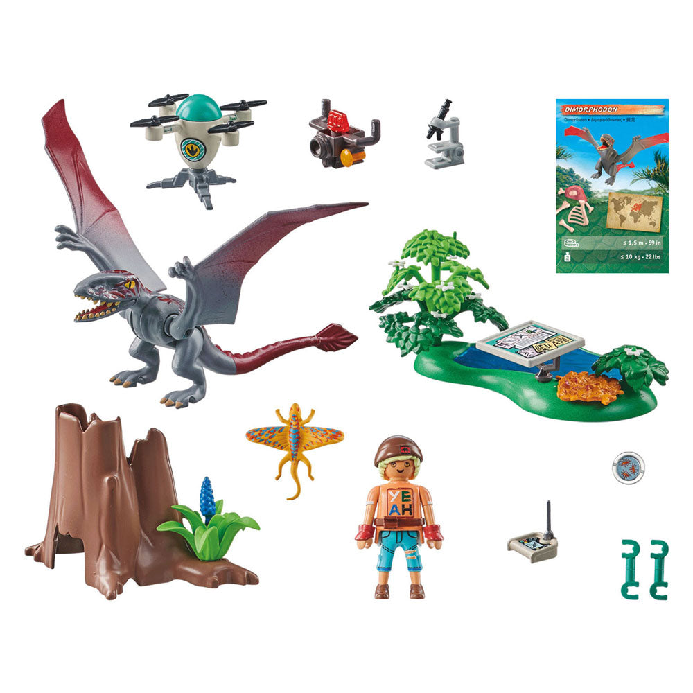PlayMobil Dinonos pozorovací příspěvek pro Dimorphodon 71525