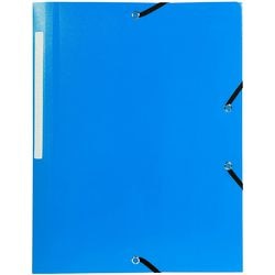 Exacompta 55802e A4 polypropylene sorting folder