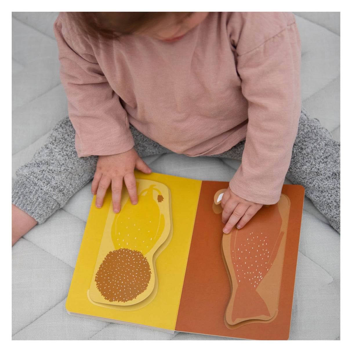 Trixie flapjesboek Dieren