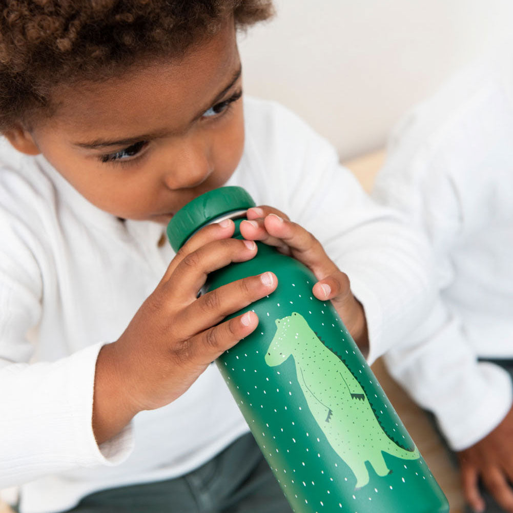 Trixie drinking bottle Mr. Corcodile, 350ml